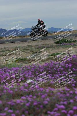 media/Jan-14-2023-SoCal Trackdays (Sat) [[497694156f]]/Turn 14 Exit Bloomig (145pm)/